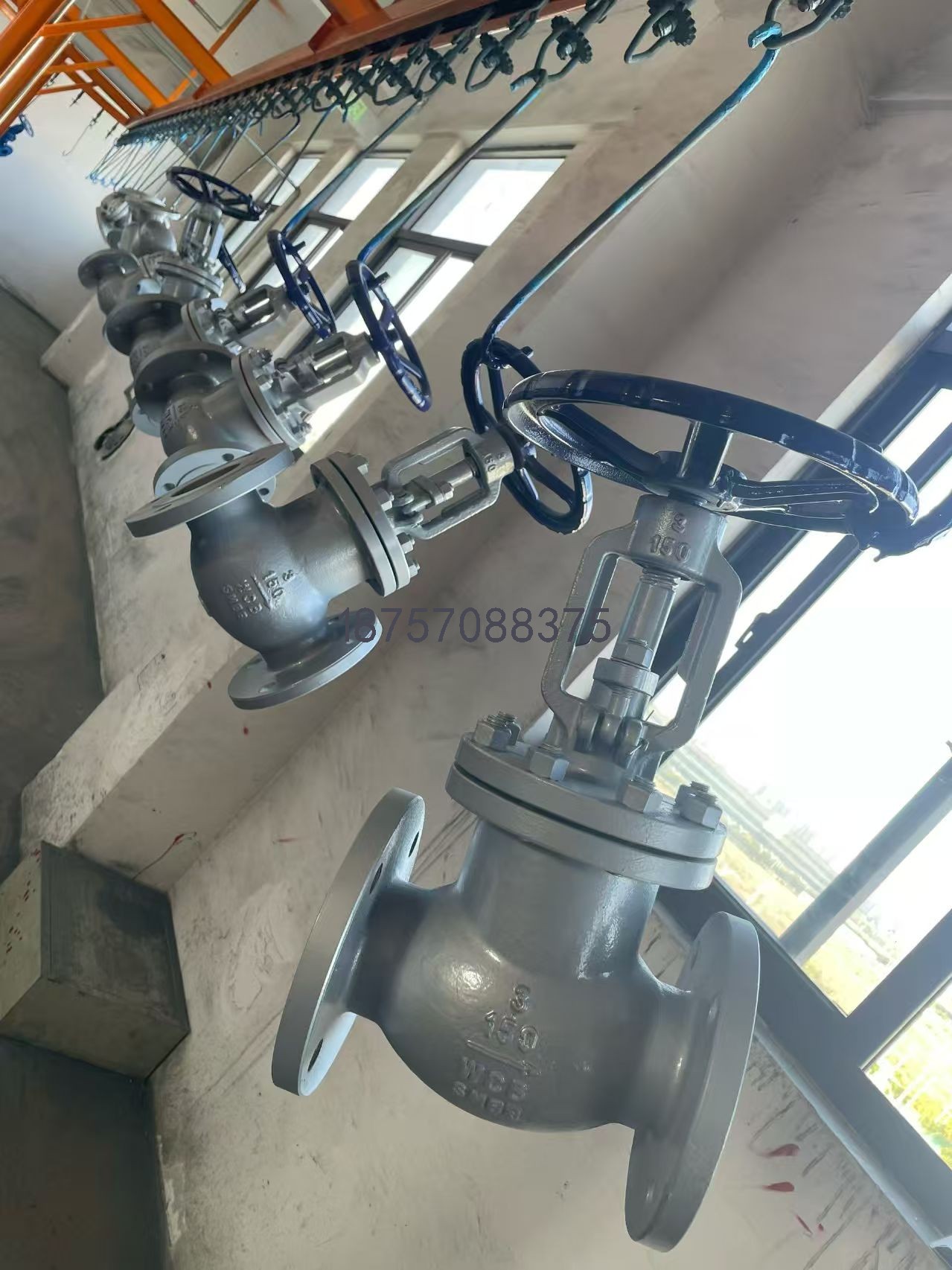 1770181863200798.jpg 3.jpg